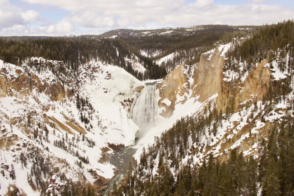 La cascade Tower Fall de Yellowstone