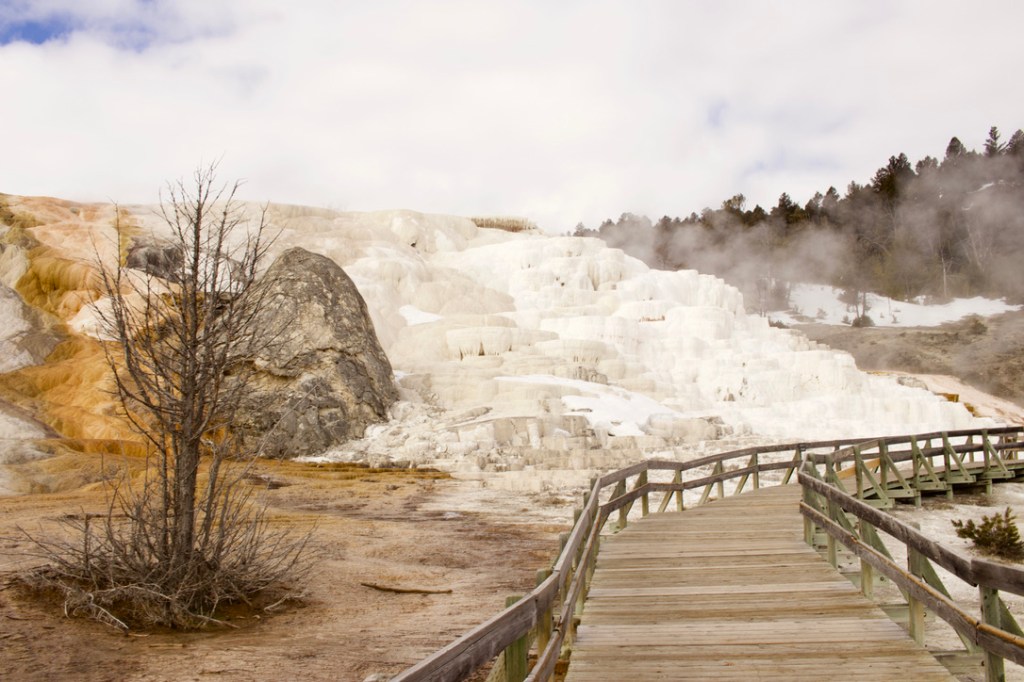 Mammoth Hot Spring à Yellowstone