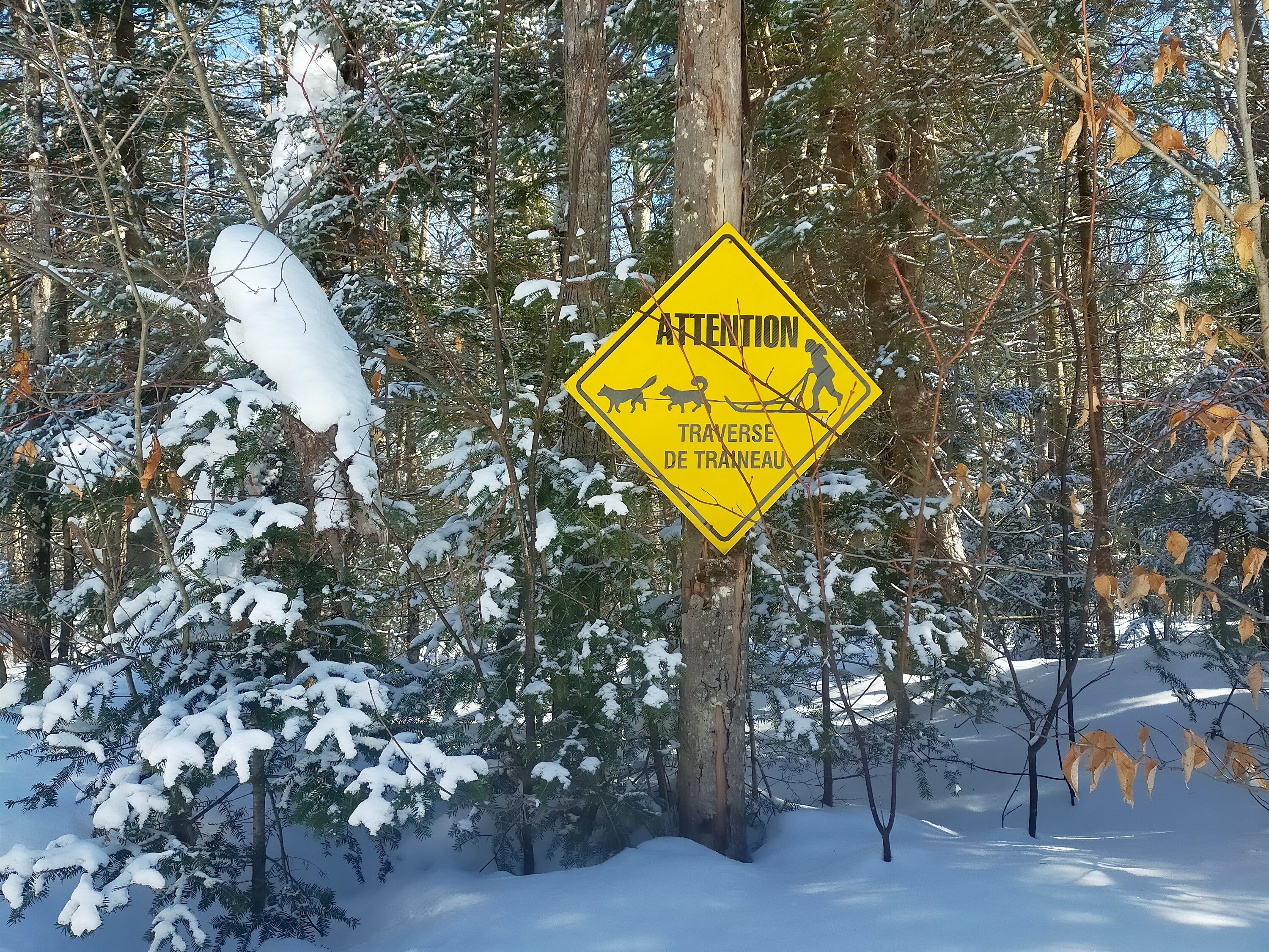 Panneau de signalisation de traîneau dans la neige au Québec